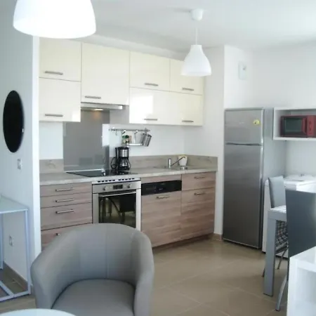 Moderne Avec Terrasse, Parking Et Clim Au Lavandou - 4 Couchages - Fr-1-251-122 *