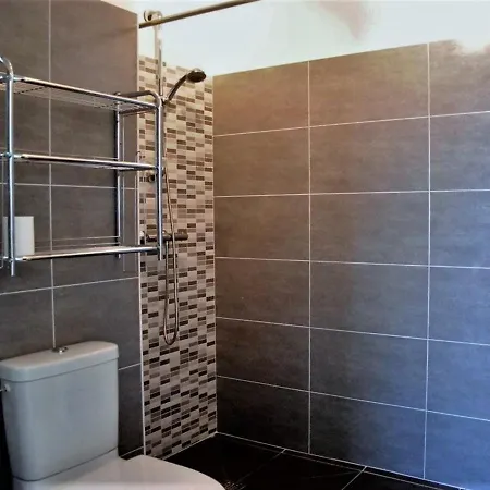 Moderne Avec Terrasse, Parking Et Clim Au Lavandou - 4 Couchages - Fr-1-251-122