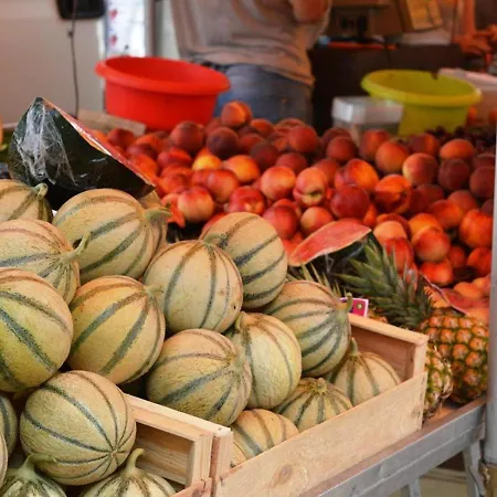 Moderne Avec Terrasse, Parking Et Clim Au Lavandou - 4 Couchages - Fr-1-251-122 Apartment *