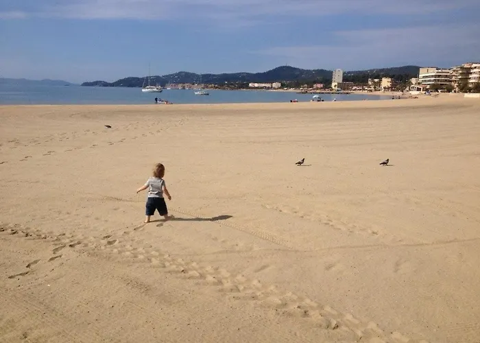 Moderne Avec Terrasse, Parking Et Clim Au Lavandou - 4 Couchages - Fr-1-251-122 *