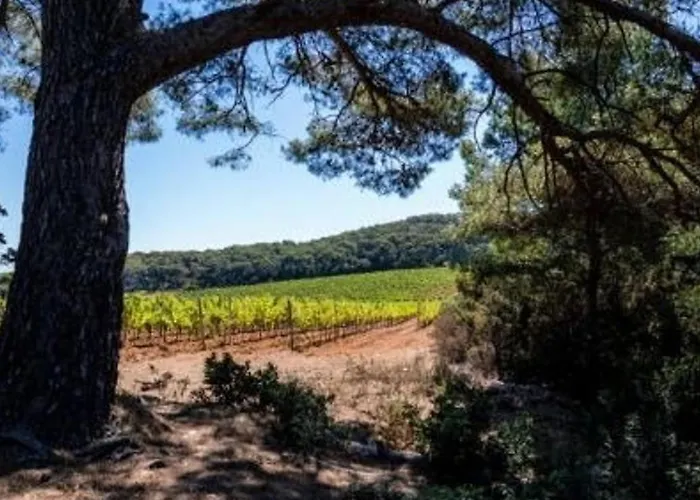 Lägenhet Moderne Avec Terrasse, Parking Et Clim Au Lavandou - 4 Couchages - Fr-1-251-122 Le Lavandou